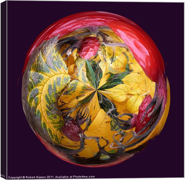 Spherical Paperweight Dog Rose Canvas Print by Robert Gipson