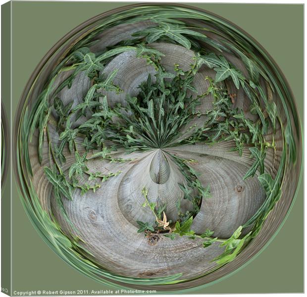 Spherical Paperweight Ivy Canvas Print by Robert Gipson