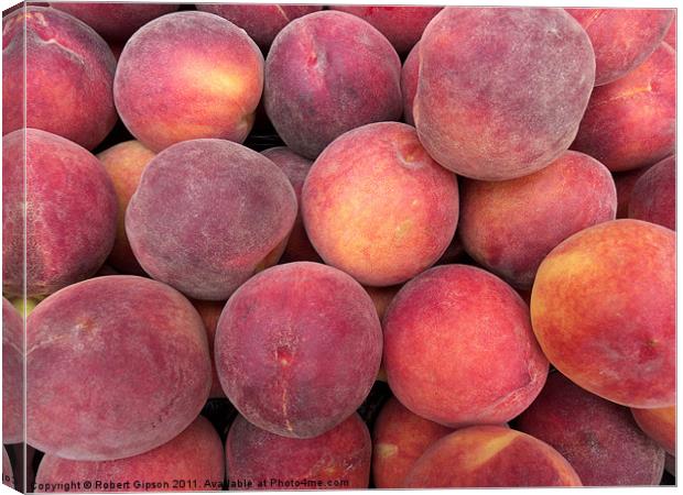 Peaches anyone? Canvas Print by Robert Gipson