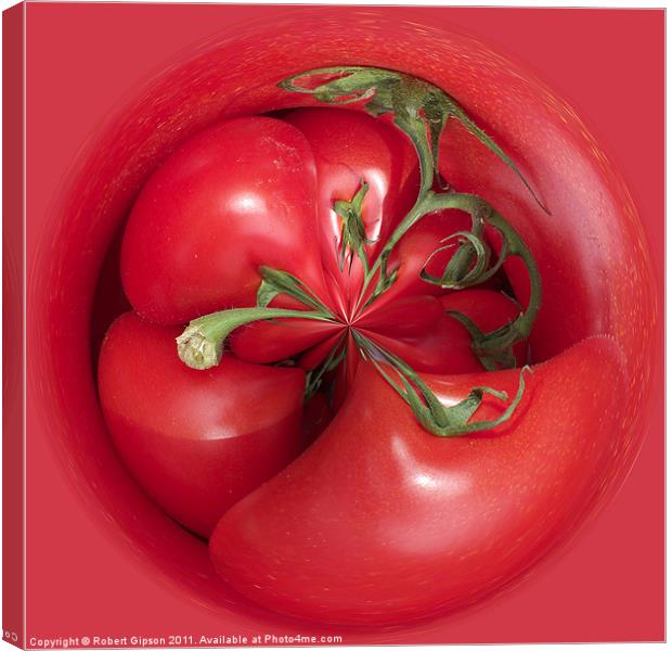 Spherical tomatoes Canvas Print by Robert Gipson