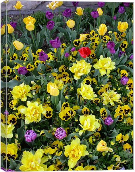Springtime Bouquet Canvas Print by Diane Hovey