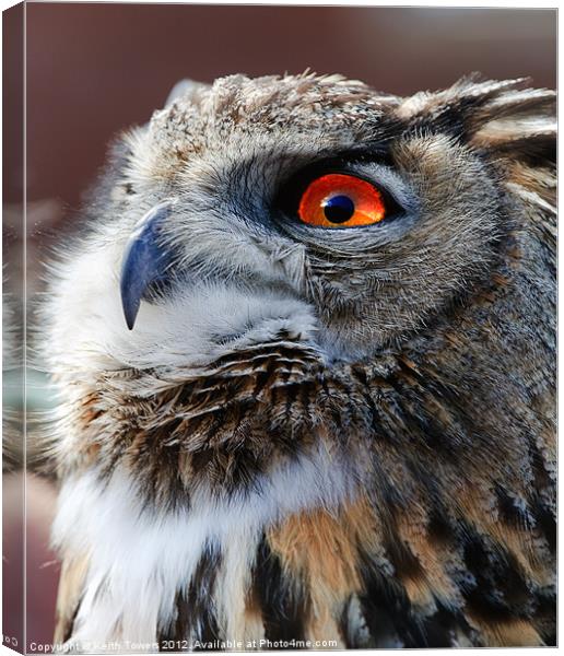 Eurasian Eagle Owl Canvases & Prints Canvas Print by Keith Towers Canvases & Prints