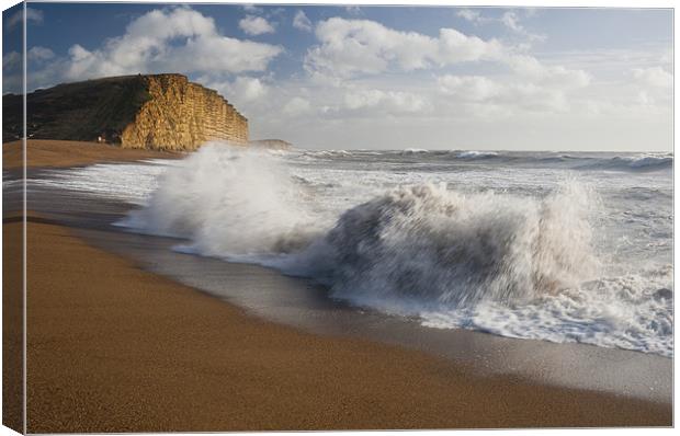 East Beach waves Canvas Print by Daniel Bristow