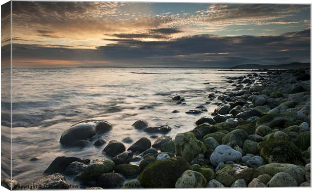 osmington Sunset. Canvas Print by Daniel Bristow