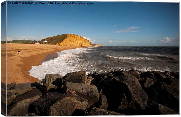 East Beach Canvas Print by Daniel Bristow