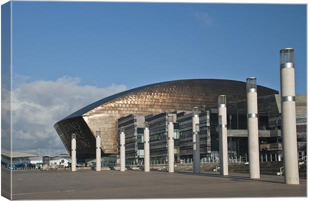 The Wales Millenium Centre Canvas Print by Steve Purnell