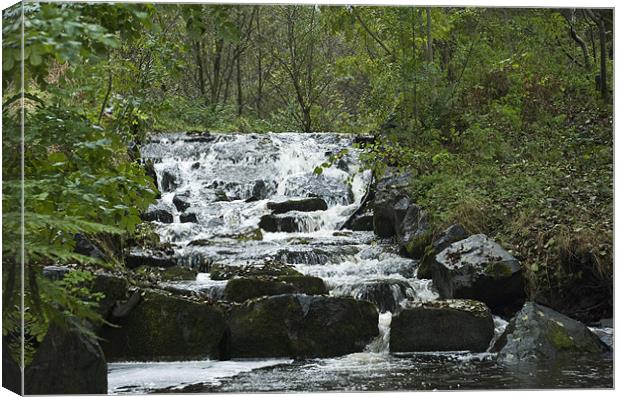 Waterfall Canvas Print by Steve Purnell