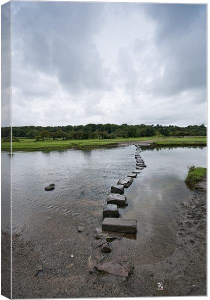 Stepping Stones Canvas Print by Steve Purnell