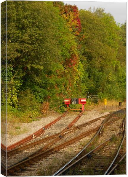 End of line for Summer Canvas Print by Steve Purnell