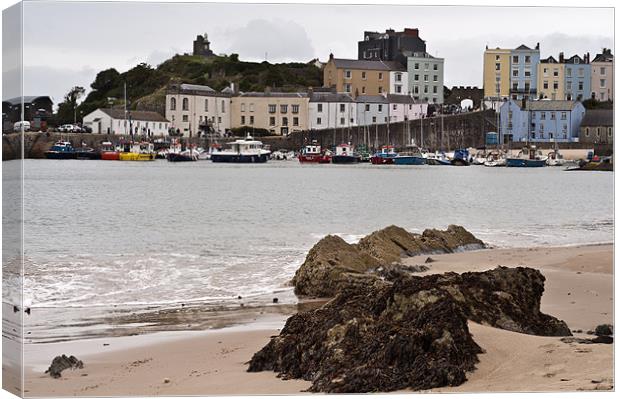 Tenby Harbour Canvas Print by Steve Purnell