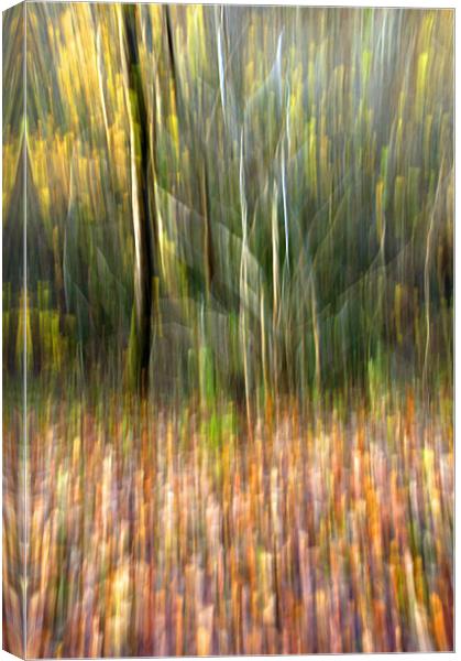 Autumn Tree Abstract Canvas Print by Steve Purnell