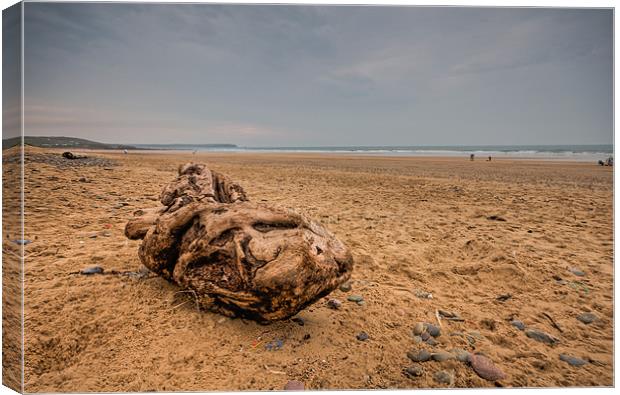 In From The Deep Canvas Print by Steve Purnell