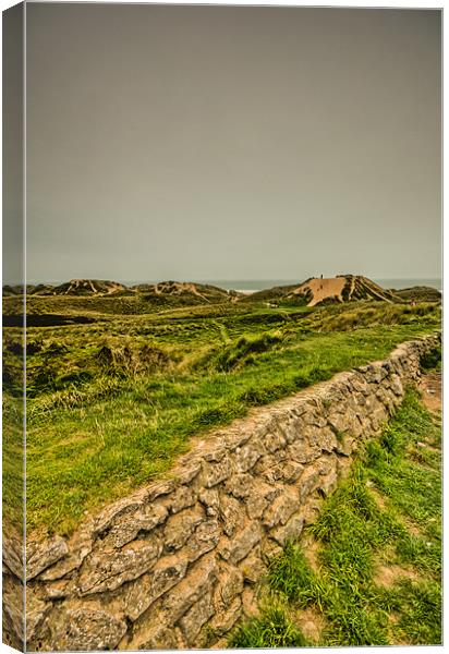Freshwater West Canvas Print by Steve Purnell