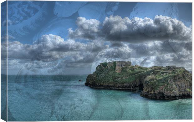 St Catherines Rock Tenby Seashells Canvas Print by Steve Purnell