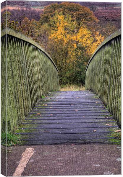 The Bridge to Autumn Canvas Print by Steve Purnell