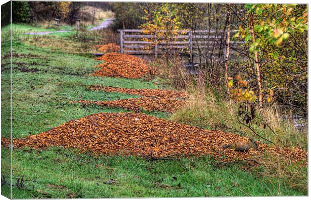 Autumn Clean Up Canvas Print by Steve Purnell