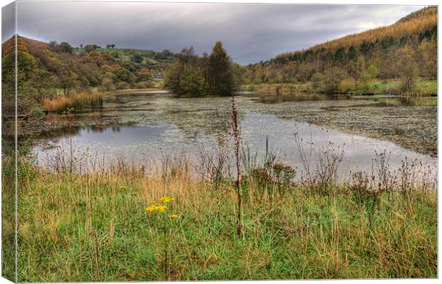 Parc Cwm Darran Canvas Print by Steve Purnell