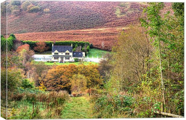 The Mine Managers House Canvas Print by Steve Purnell