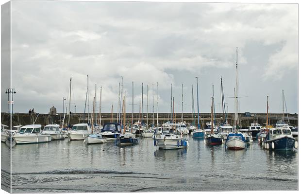 Saundersfoot Harbour Canvas Print by Steve Purnell