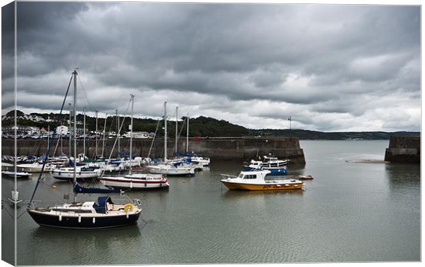 Serenity in Saundersfoot Canvas Print by Steve Purnell