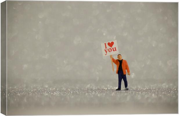 I Love You 1 Canvas Print by Steve Purnell