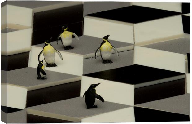 Penguins In An Illusion Canvas Print by Steve Purnell