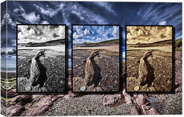 Manorbier Triptych Canvas Print by Steve Purnell