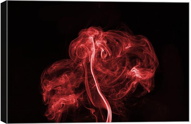 Explosive Red Canvas Print by Steve Purnell