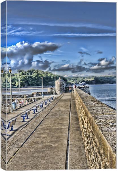 Along the Sea Wall Canvas Print by Steve Purnell