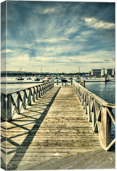 Cardiff Bay Wetlands Lomo 2 Canvas Print by Steve Purnell