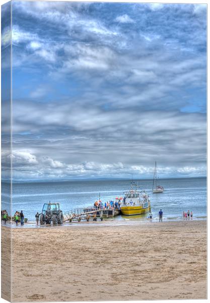 Island Hoppers 2 Canvas Print by Steve Purnell