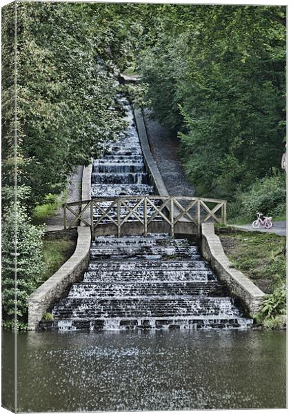Gnoll Estate Country Park Canvas Print by Steve Purnell