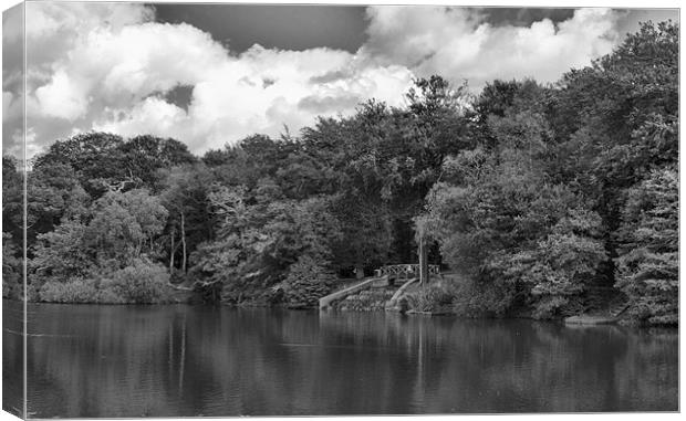Gnoll Estate Country Park 2 Mono Canvas Print by Steve Purnell