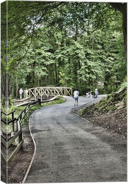 Gnoll Estate Country Park 3 Canvas Print by Steve Purnell