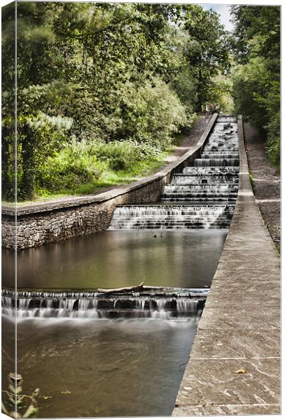 Gnoll Estate Country Park 4 Canvas Print by Steve Purnell