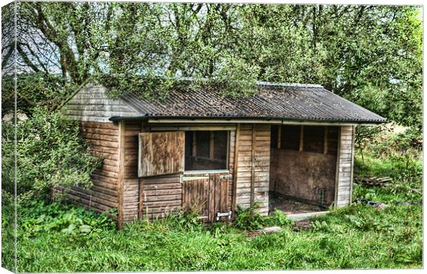 Abandoned Canvas Print by Steve Purnell