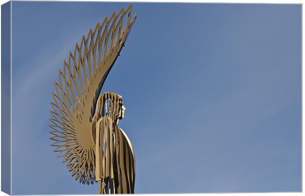 The Angel of Bargoed 5 Canvas Print by Steve Purnell