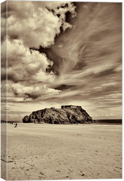 St Catherines Island 8 Canvas Print by Steve Purnell