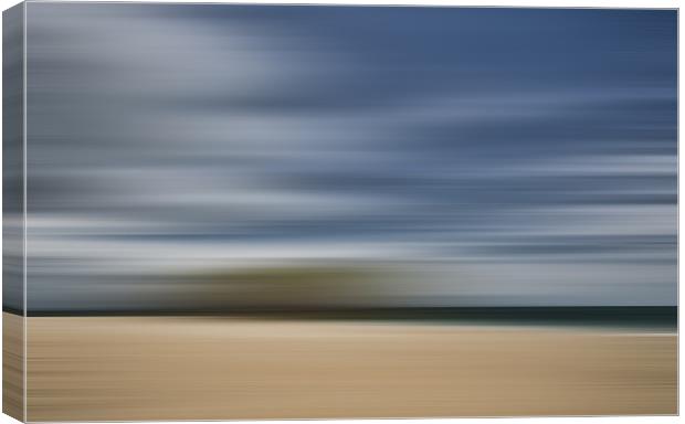 Beach Blur Canvas Print by Steve Purnell