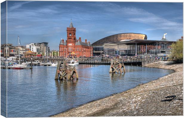 Cardiff Bay Canvas Print by Steve Purnell