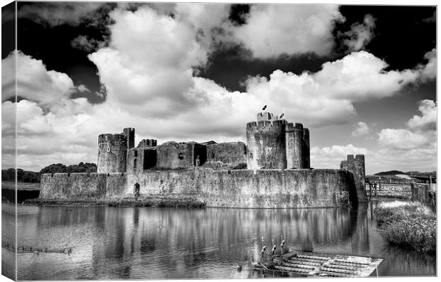Caerphilly Castle 5 Monochrome Canvas Print by Steve Purnell