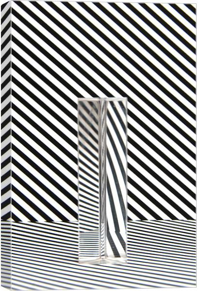 Prism Stripes 7 Canvas Print by Steve Purnell