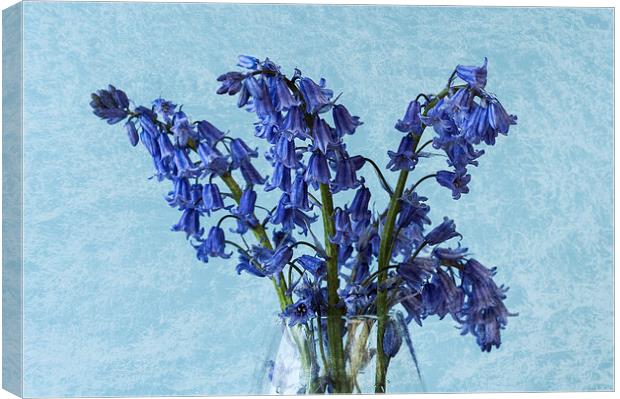 Bluebells 1 Canvas Print by Steve Purnell