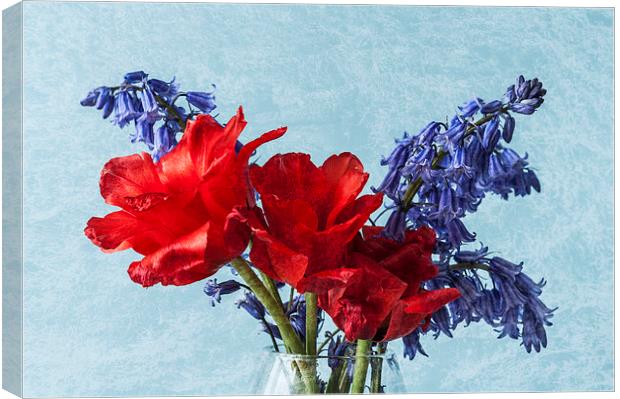 An Unusual Pair Canvas Print by Steve Purnell