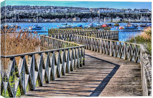 The Boardwalk Cardiff Bay Wetlands Canvas Print by Steve Purnell