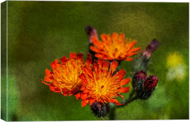 Fox And Cubs Textured Canvas Print by Steve Purnell