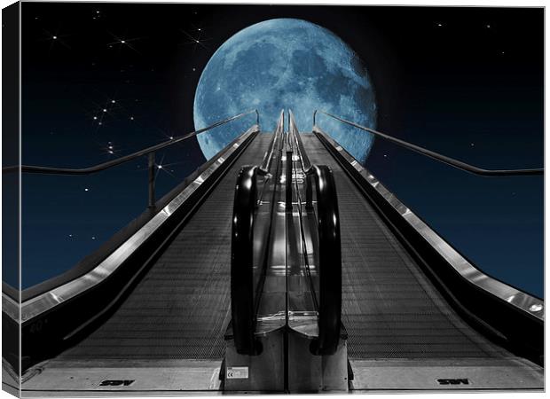 Take Me To The Moon Canvas Print by Steve Purnell
