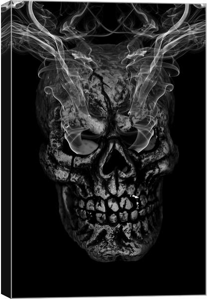 Smoke Gets In Your Eyes Canvas Print by Steve Purnell
