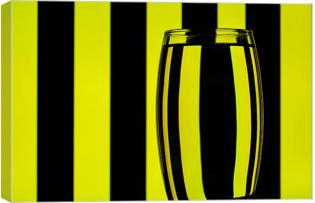 Refracted Patterns 23 Canvas Print by Steve Purnell