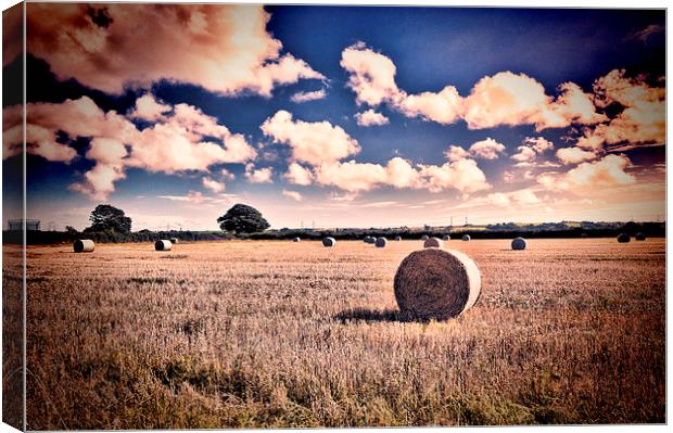Baled Out Canvas Print by Steve Purnell